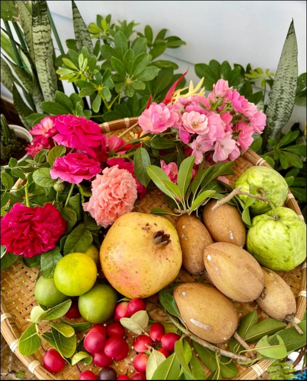 Khu vườn trong biệt thự 21 tỷ của MC Quyền Linh mùa dịch gì cũng có: Rau xanh, hoa tươi, trái cây đều xum xuê-1