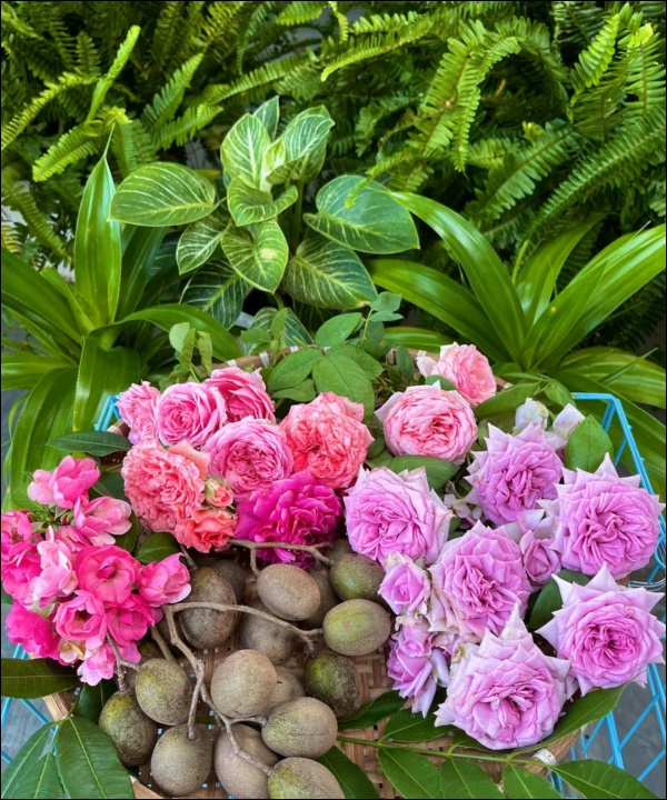 Khu vườn trong biệt thự 21 tỷ của MC Quyền Linh mùa dịch gì cũng có: Rau xanh, hoa tươi, trái cây đều xum xuê-2