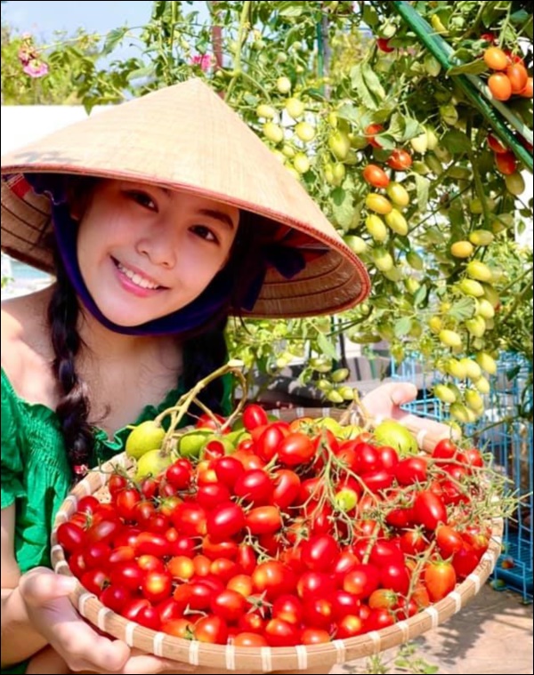 Khu vườn trong biệt thự 21 tỷ của MC Quyền Linh mùa dịch gì cũng có: Rau xanh, hoa tươi, trái cây đều xum xuê-14