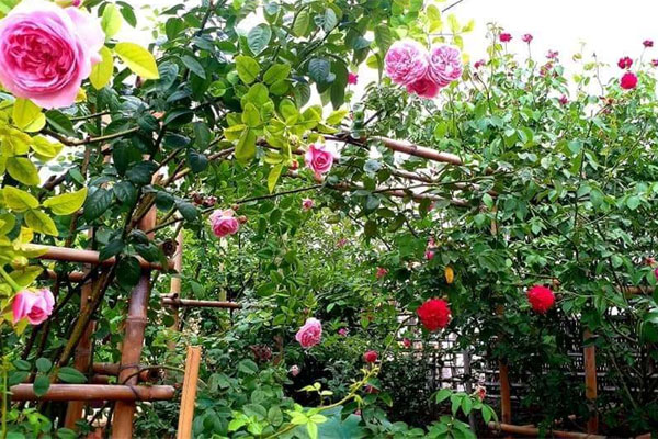 Sau khi mẹ chồng cầm hồ sơ bệnh án của con trai, bà đưa cho tôi 200 triệu rồi buông lời phũ phàng-3