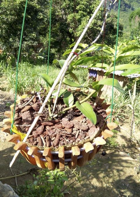 Lan đột biến 46 tỷ ở Điện Biên: Sự thật treo bờ rào, không ai mua-2