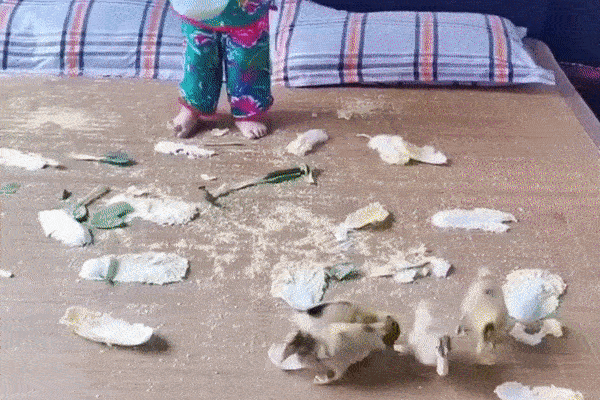 Mải nghịch nên cậu bé vô tình lẳng đồ chơi vào chiếc tivi đời mới, quả là 1 cú xoay mất ngay vài chục triệu của bố mẹ-1