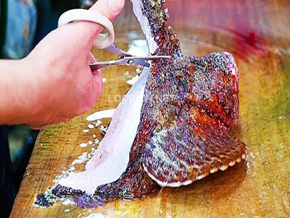 Con cá xấu xí đến kinh dị, trước làm thức ăn cho gà, vịt giờ trở thành món khoái khẩu-5