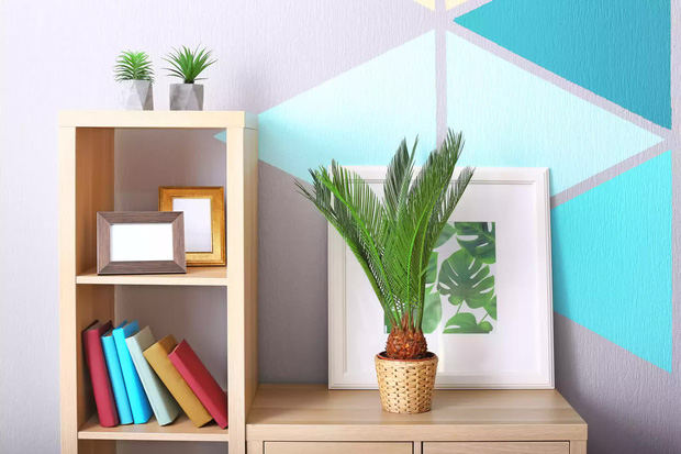 7 loại cây được xem là kịch độc với thú cưng, tránh trồng trong nhà kẻo hối hận: Có cả loại đang cực hot đợt này-5