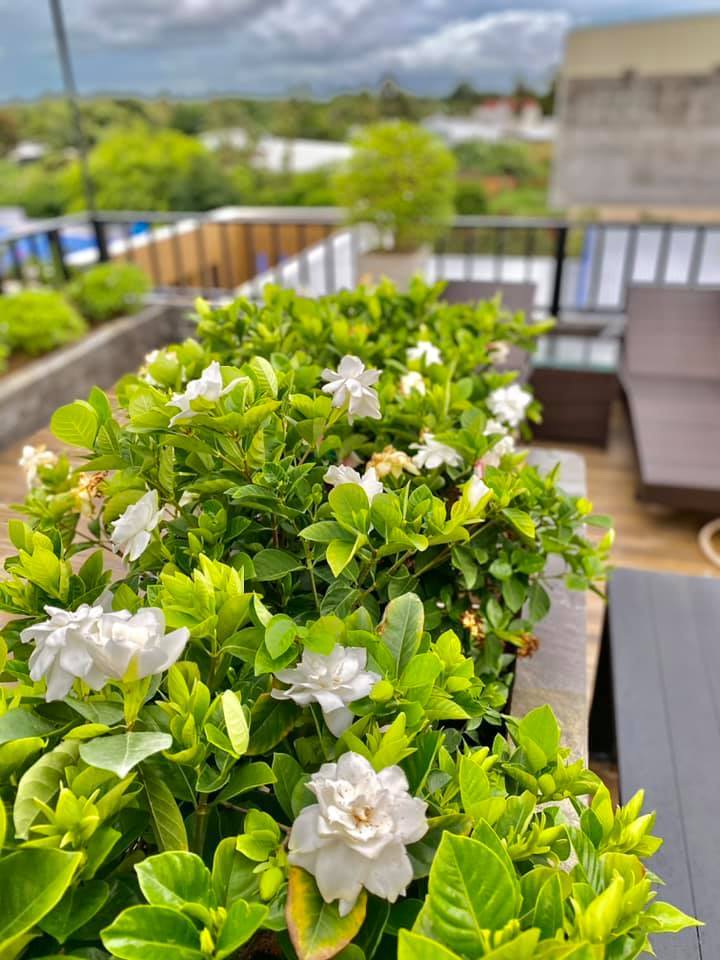 Khám phá ngôi nhà xây trên diện tích đất 900m2, đủ phòng gym, bể bơi-15