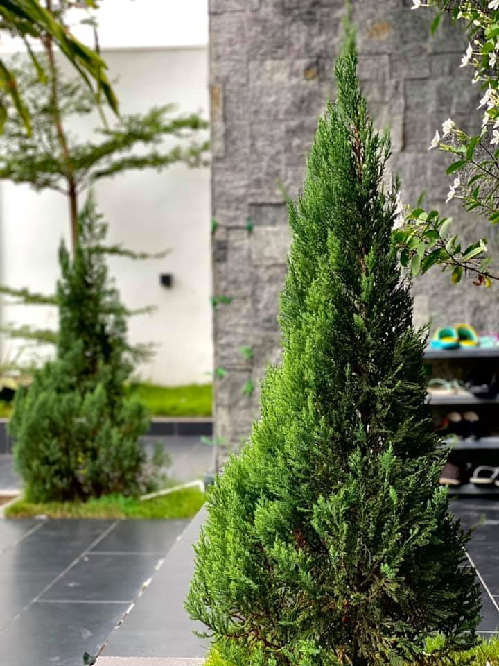 Khám phá ngôi nhà xây trên diện tích đất 900m2, đủ phòng gym, bể bơi-16