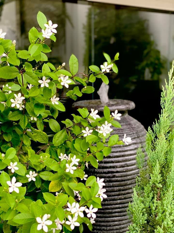 Khám phá ngôi nhà xây trên diện tích đất 900m2, đủ phòng gym, bể bơi-17