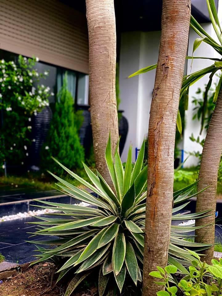 Khám phá ngôi nhà xây trên diện tích đất 900m2, đủ phòng gym, bể bơi-18