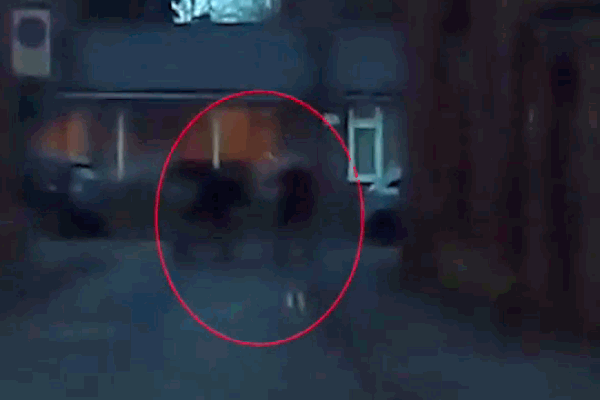 Clip: Đi cướp điện thoại, nam thanh niên bị dân vây bắt giữa phố-1