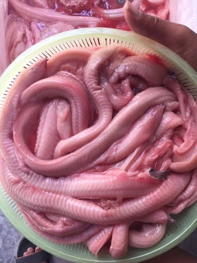 Ngã ngửa 4 loài cá xấu phát hờn thành đặc sản hút khách-7