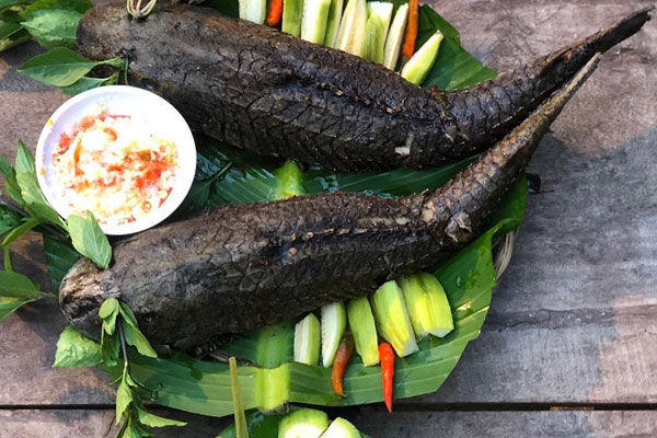 Bộ phận đắt nhất trên con cá giá 200.000 đồng/100 gram, được ví sánh ngang với tổ yến” nhưng nhiều người vứt bỏ-6