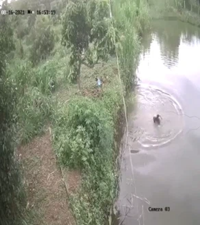 Cháu bé trượt chân ngã rồi giãy giụa chìm nghỉm dưới hồ nước, diễn biến sau đó vô cùng hồi hộp-1