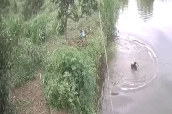 Lẻn vào nhà trộm điện thoại thấy nữ gia chủ đang ngủ say, nam thanh niên còn có hành động đáng xấu hổ này-2