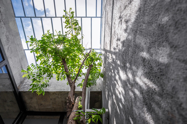 Vợ chồng trẻ xây nhà cấp 4 với phương châm ‘miễn tiếp khách’-7