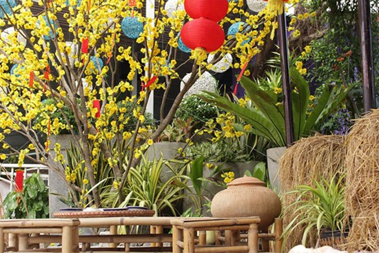 Có nên bán nhà Hà Nội rồi về quê sống với bố mẹ chồng?