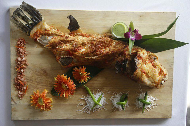 Mỹ nhân ngư có thể gây chết người nhưng nhiều người không tiếc tiền để mua-3