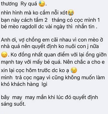 Xôn xao về đôi vợ chồng bị dân mạng tố mua mèo về bạo hành, ngược đãi rồi báo bệnh để yêu cầu hoàn tiền?-4