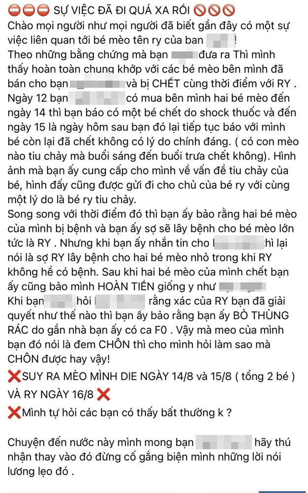 Xôn xao về đôi vợ chồng bị dân mạng tố mua mèo về bạo hành, ngược đãi rồi báo bệnh để yêu cầu hoàn tiền?-6