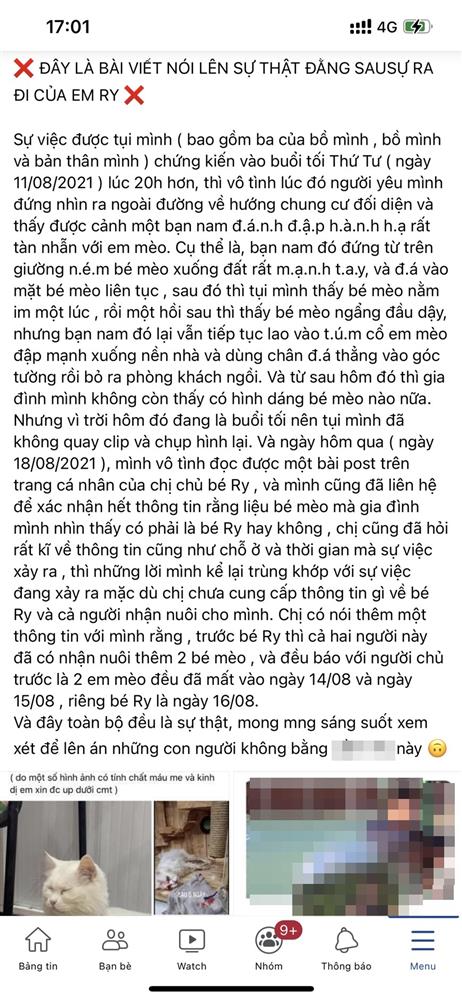 Xôn xao về đôi vợ chồng bị dân mạng tố mua mèo về bạo hành, ngược đãi rồi báo bệnh để yêu cầu hoàn tiền?-7