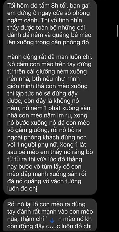 Xôn xao về đôi vợ chồng bị dân mạng tố mua mèo về bạo hành, ngược đãi rồi báo bệnh để yêu cầu hoàn tiền?-8