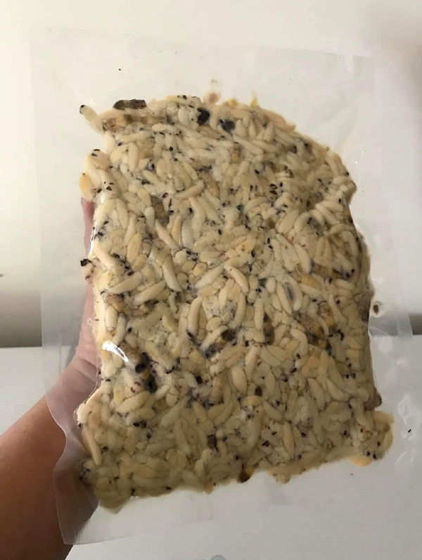 Ong vò vẽ kịch độc thành đặc sản: Một thời đắt khách thu 5 triệu/ngày-3