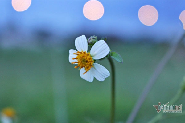 Sau một đêm với người mình thầm yêu, đau lòng nghe câu đó là một sai lầm-1