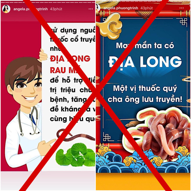 2 sao Việt bất chấp chia sẻ thông tin sai lệch chữa Covid-19 bằng Địa long, phẫn nộ nhất là thách thức của Lê Bê La-4