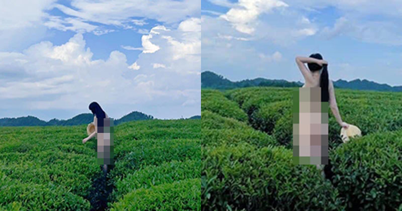 Xôn xao cô gái khỏa thân đứng tạo dáng check-in trên đồi chè bị chỉ trích dữ dội-1