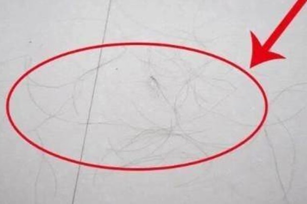 Kiến ba khoang xuất hiện nhiều vào đầu thu: 6 cách để chúng một đi không trở lại-3