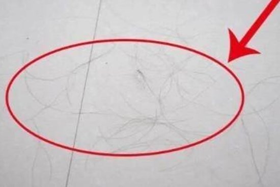 Tóc ở khắp mọi nơi trên sàn nhà? Tìm ngay một sợi dây chun, mặt sàn ngay lập tức sạch sẽ
