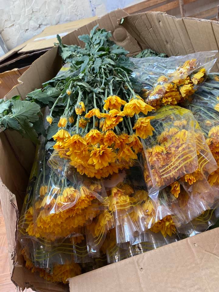 Cập nhật giá rau củ quả, thực phẩm tươi sống và hoa trái cho chị em sắm mâm cỗ ngày Rằm tháng 7-4