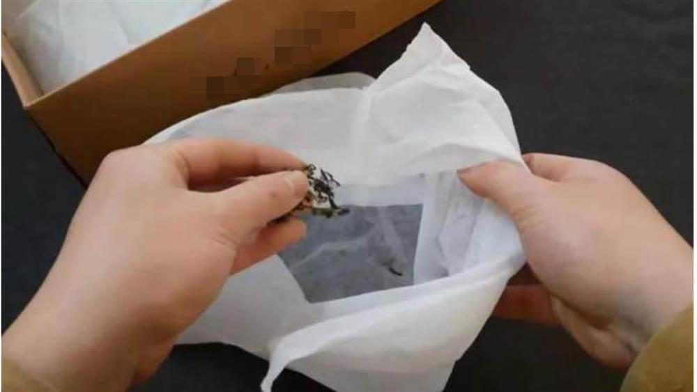 Sau nhiều năm mua giày, bạn có nhận ra rằng lớp vải trắng trong hộp giày rất quan trọng, thật lãng phí nếu vứt bỏ-4