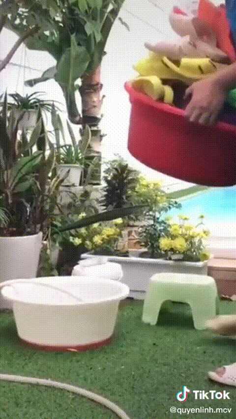 Công bố gia tài có một không hai của MC giàu nhất nhì showbiz Việt Quyền Linh: Đúng là thứ không ai ngờ tới!-2