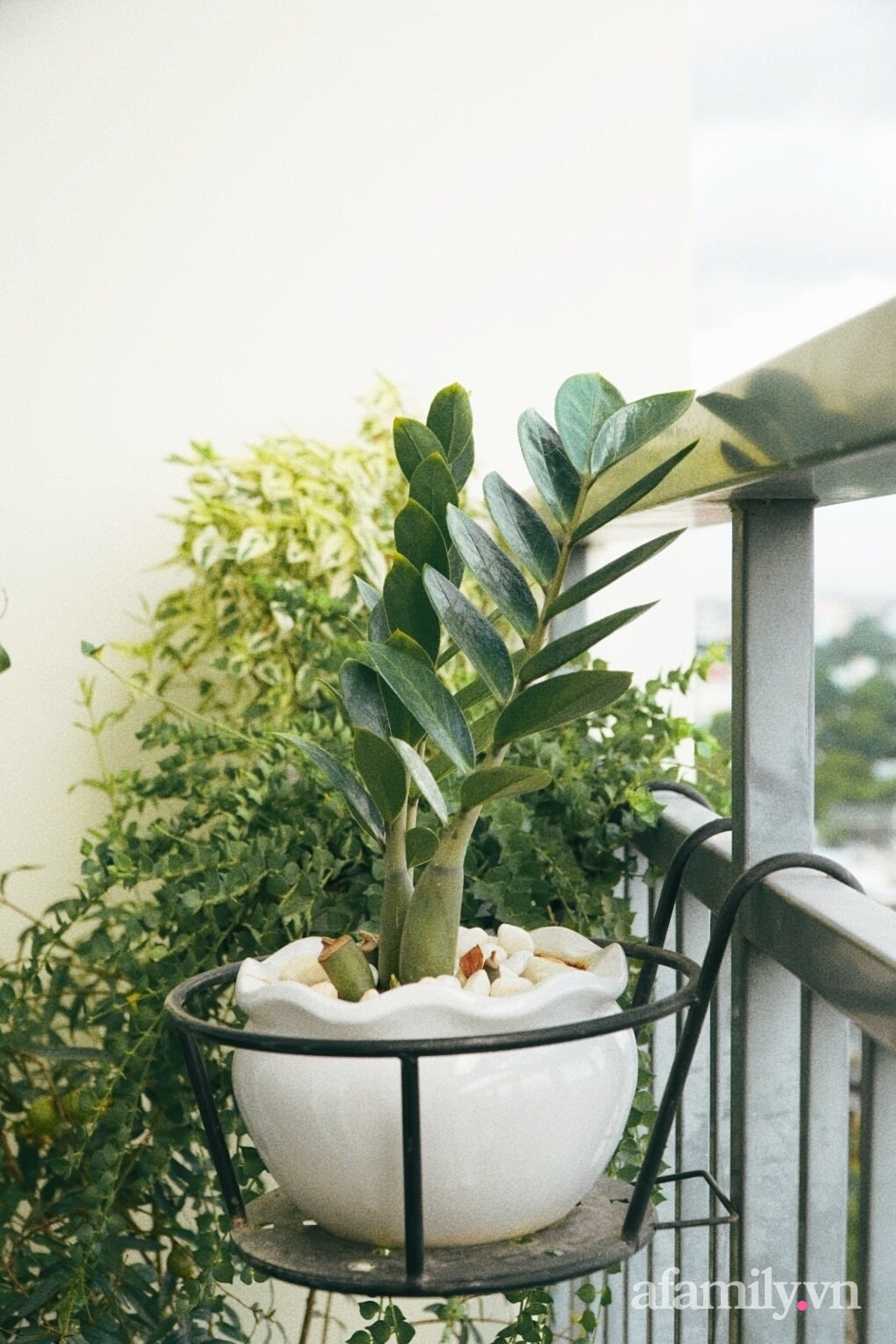 Căn hộ 60m² tràn ngập màu nắng, tinh tế đến từng góc nhỏ của vợ chồng ngành Y ở Sài Gòn-15