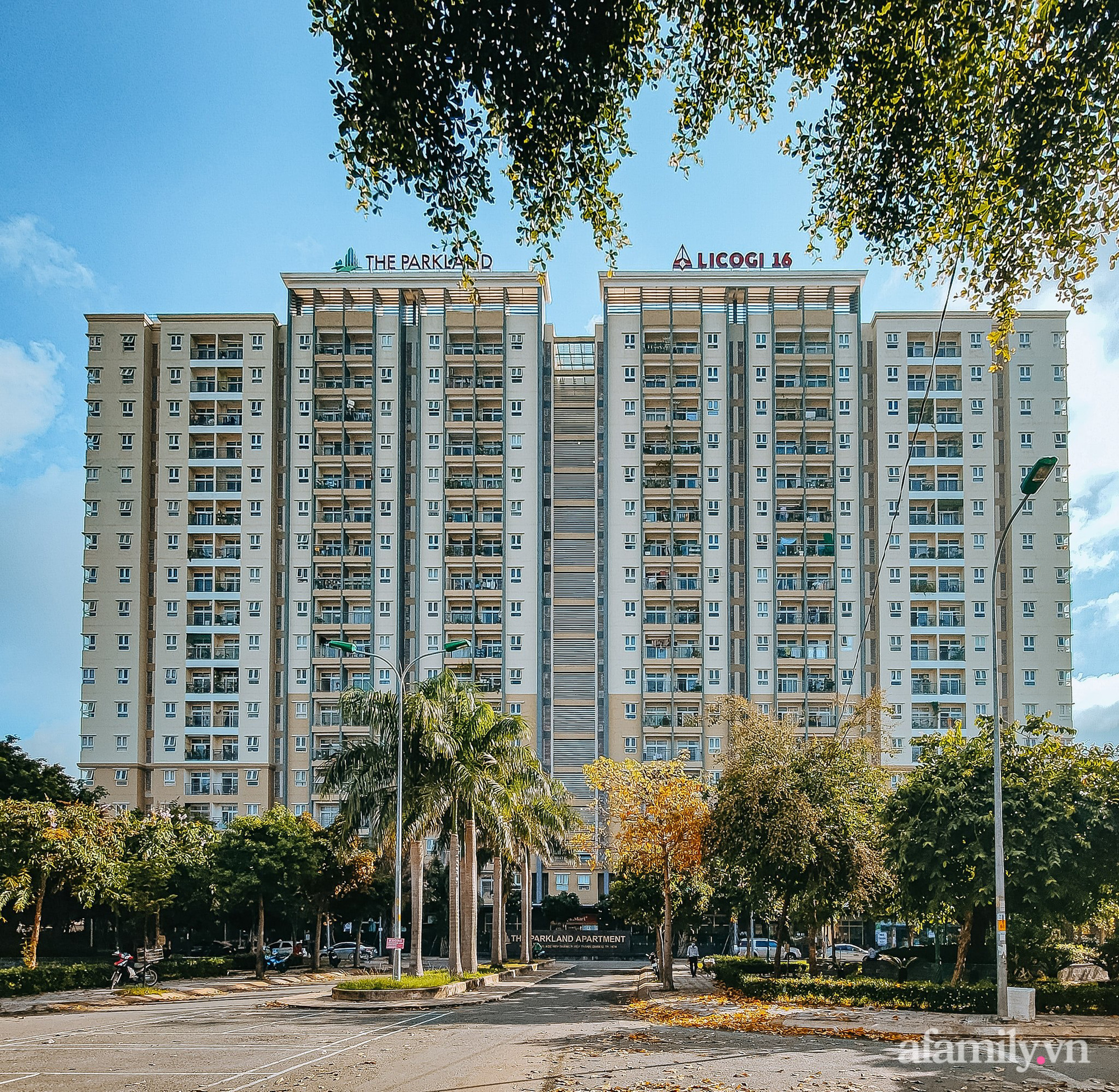 Căn hộ 60m² tràn ngập màu nắng, tinh tế đến từng góc nhỏ của vợ chồng ngành Y ở Sài Gòn-1