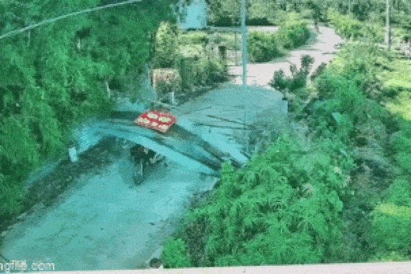 Đàn khỉ đói xông vào cửa hàng tìm thức ăn ở Thái Lan-1