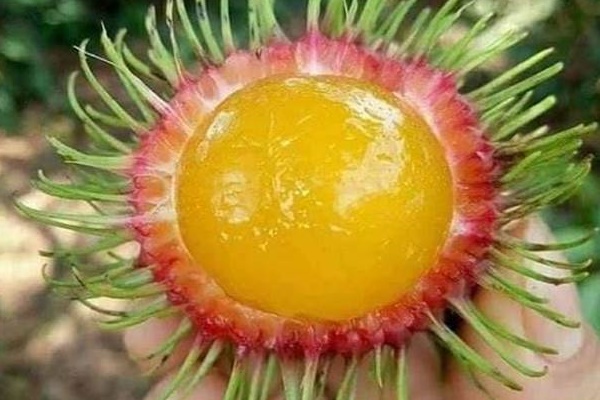 Bà nội trợ gia đình cứ áp dụng đúng 9 cách này sẽ thấy quản lý tài chính thực ra rất đơn giản-2