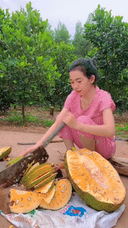 Cô gái bổ quả mít vàng tươi nhưng lại dùng nó vào một việc khiến dân tình tiếc hùi hụi”-1