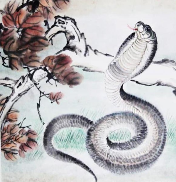 60 ngày cuối năm 2021, 3 con giáp không lo cơm ăn áo mặc, túi tiền rủng rỉnh, cuộc sống ổn định-2