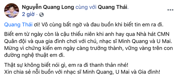 Tin buồn: Nghệ sĩ Quang Thái - con trai nhạc sĩ Minh Quang qua đời-2