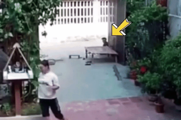 Xôn xao clip công an trực chốt bê xe của cô gái đi đường: Tưởng tới công chuyện”, ai dè đó là 1 tình huống dễ thương hết biết!-3