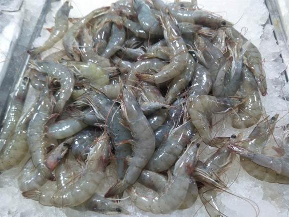 Khi mua tôm nên chọn con cong hay con thẳng? Ông chủ hải sản nói, hãy bắt đầu với tôm tươi, đừng mua một cách ngẫu nhiên-5