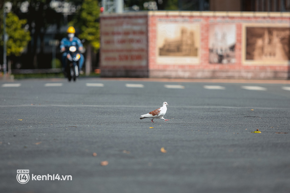 Đường phố Sài Gòn vắng lặng chưa từng thấy trong ngày đầu siết chặt giãn cách: Không còn bóng shipper, ai ở đâu ở yên đó”-18