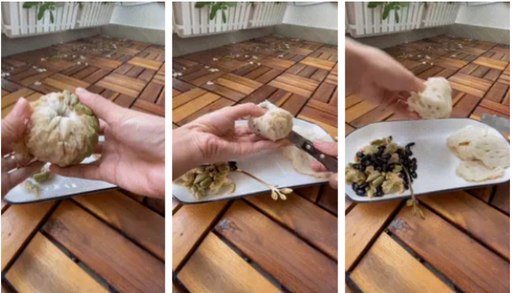 Màn tách hạt na siêu đỉnh chỉ bằng một dụng cụ đơn giản, hóa ra bấy lâu nay chúng ta ăn na sai cách-1