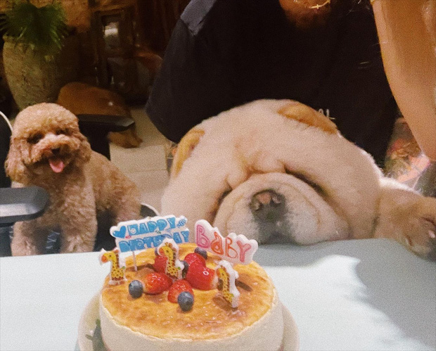 Mãi không công khai hẹn hò, ai dè Binz và Châu Bùi lại để lộ hint” nghi vấn sống chung luôn rồi?-5