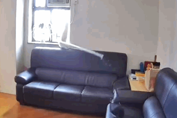 Clip: Đi ăn trộm, nam thanh niên bị kẹt đầu vào lưới sắt và cái kết-1