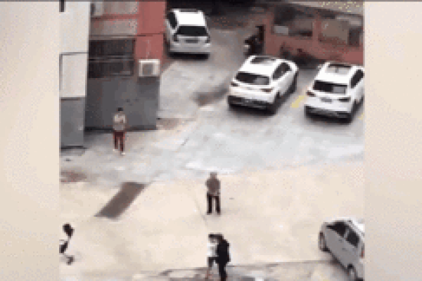 Lợn rừng lao vào khu dân cư, trường học khiến nhiều người bỏ chạy