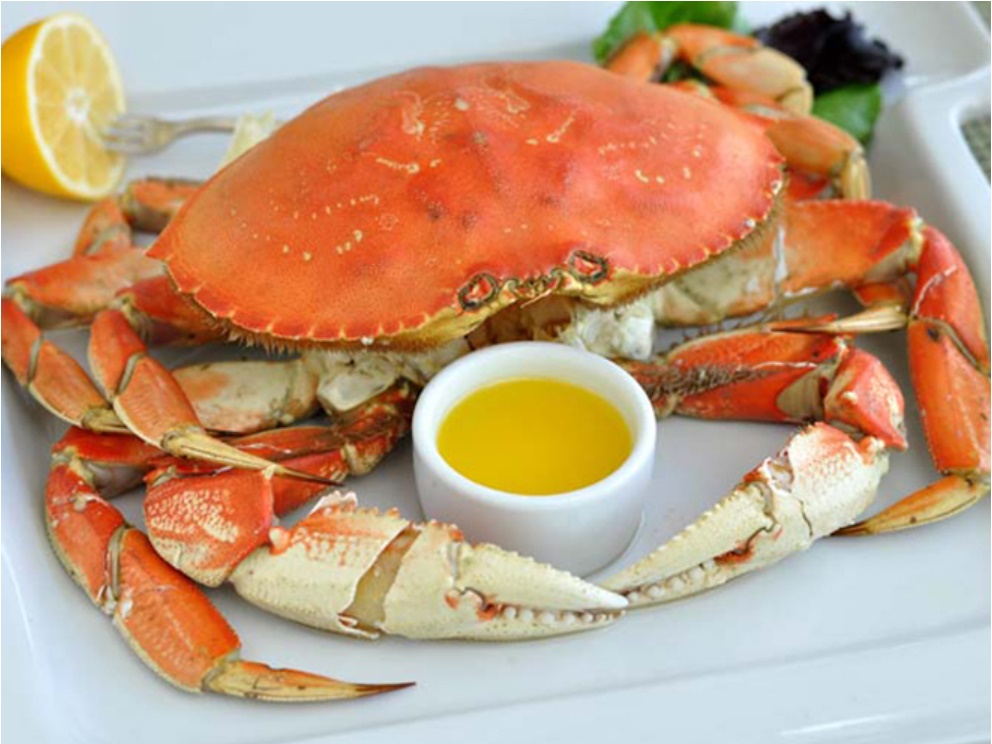 Vợ mang thai hơn 3 tháng, nửa đêm thấy khăn trải giường ướt đẫm, chồng bật đèn lên thì choáng váng khi thấy điều này-3