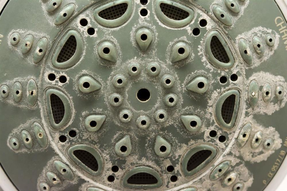 Đừng lo lắng nếu vòi hoa sen bị tắc, mách bạn mẹo nhỏ chỉ cần dùng một chiếc túi nhựa có thể dễ dàng giải quyết-1