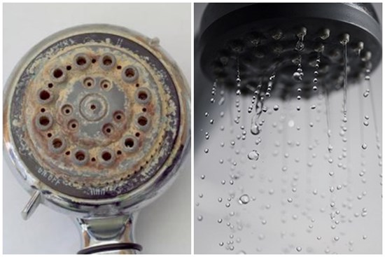 Đừng lo lắng nếu vòi hoa sen bị tắc, mách bạn mẹo nhỏ chỉ cần dùng một chiếc túi nhựa có thể dễ dàng giải quyết